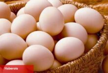 Sofralık yumurta ihracatına muafiyet düzenlemesi