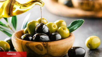 Sofralık zeytin ihracat rekoru kırıyor... Hedef 250 milyon dolar