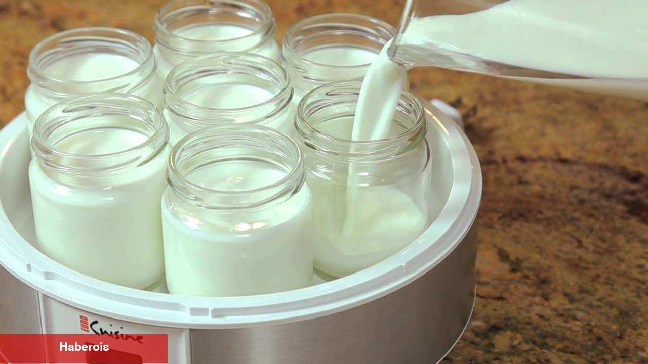 Soğuyan süt tekrar ısıtılıp mayalanır mı? Tutmayan yoğurdu mayalama teknikleri