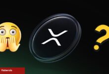 Şok Tesiri Yaratacak 2026 XRP Fiyat Hedefi!