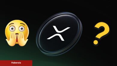 Şok Tesiri Yaratacak 2026 XRP Fiyat Hedefi!