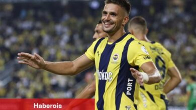 Tadic'e Avrupa'dan yoğun ilgi: Türkiye'den ayrılabilir!