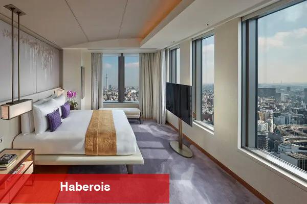 Tasarruf ve Splurging seçenekleriyle nihai 10 günlük Japonya güzergahı