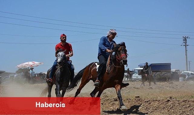 Torbalı'da rahvan at yarışı heyecanı yaşanacak - Haberois Torbalı'da rahvan at yarışı heyecanı yaşanacak
