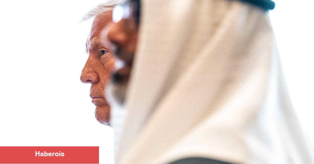 Trumps başkanlıktan para kazandıkça, karlar protestolardan geri dönüyor