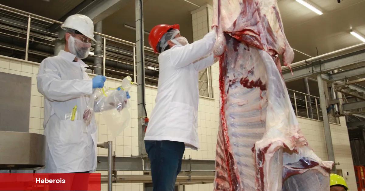 TSE’den Kocaeli mezbahasına tam not
