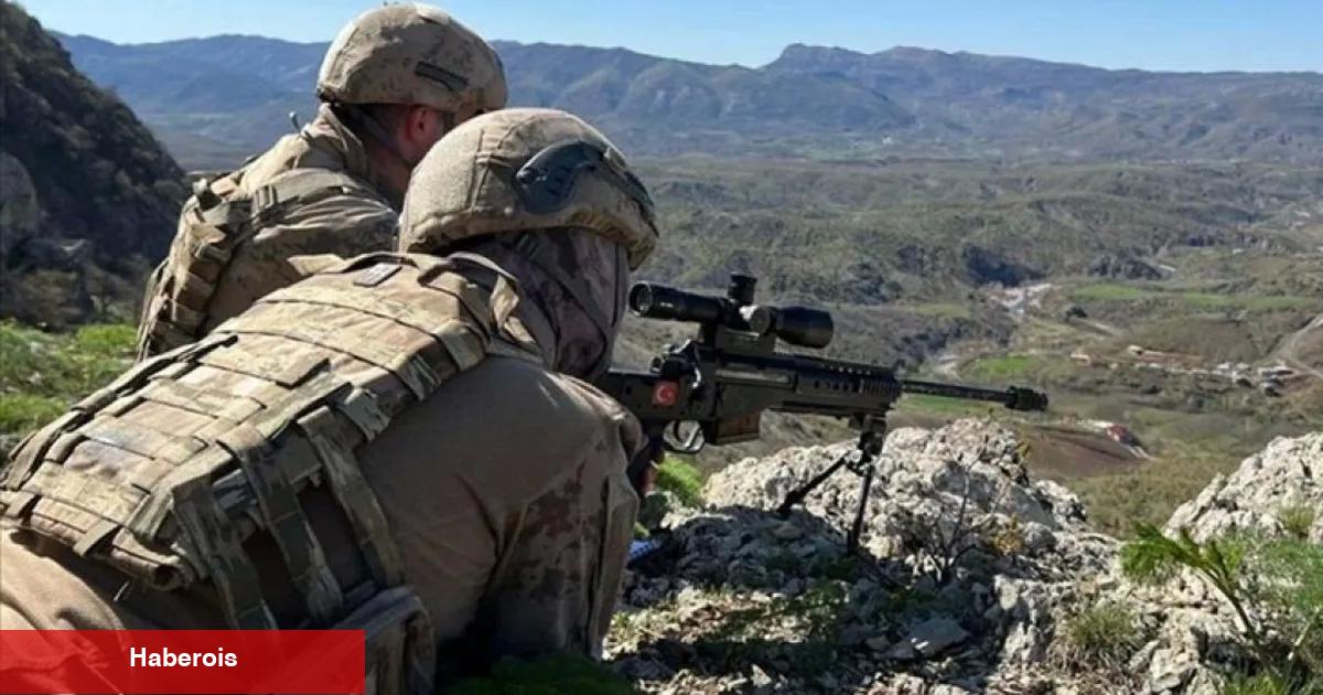 TSK'dan teröristlere bir darbe daha