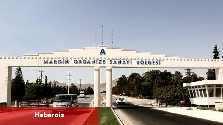 Türk unu ve buğdayı için adil rekabet çağrısı!