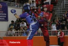 Türkiye Üniversiteler Ortası Wushu Kung Fu Şampiyonası Sakarya'da gerçekleşti