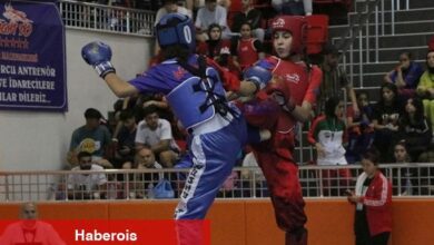 Türkiye Üniversiteler Ortası Wushu Kung Fu Şampiyonası Sakarya'da gerçekleşti