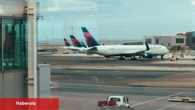 Uçak Stowaway, Paris'e sızan uçuştan hüküm giymiş