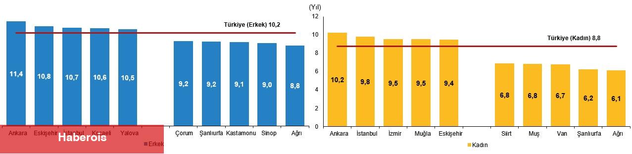 Ulusal Eğitim İstatistikleri, 2024