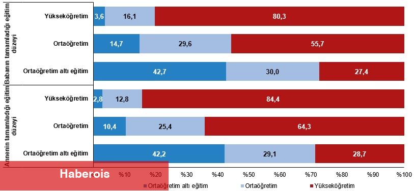 Ulusal Eğitim İstatistikleri, 2024