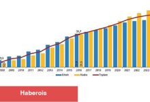 Ulusal Eğitim İstatistikleri, 2024