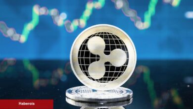 Ünlü Analist; ”XRP 880 Dolar Olabilir!”
