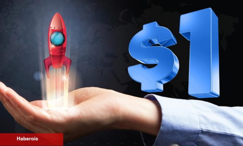 Ünlü Göğüs Coin, 1 Dolar Yolunda Mı? - Haberois Ünlü Göğüs Coin, 1 Dolar Yolunda Mı?
