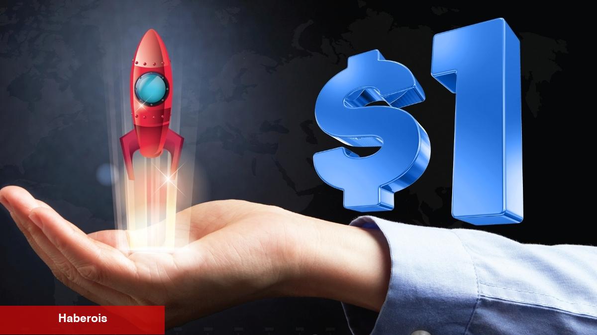 Ünlü Göğüs Coin, 1 Dolar Yolunda Mı?