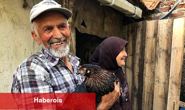 Üreticiye yüzde 50 hibeli yumurta tavuğu dayanağı - Haberois Üreticiye yüzde 50 hibeli yumurta tavuğu dayanağı