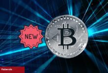 Uzmanlar; Bu Kripto Para Bir Sonraki Bitcoin Olacak!