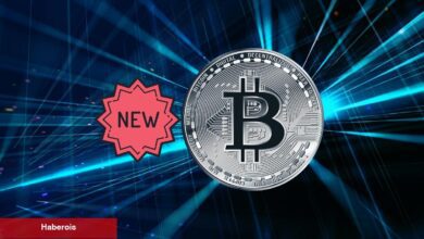 Uzmanlar; Bu Kripto Para Bir Sonraki Bitcoin Olacak!