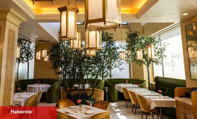 Wegmaniacs'ın artık kendi suşi restoranları var - Haberois Wegmaniacs'ın artık kendi suşi restoranları var