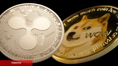 XRP ve DOGE Yatırımcıları İçin Kritik Düzeyler Yaklaşıyor!