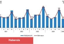 Yapı Müsaade İstatistikleri, I. Çeyrek: Ocak-Mart 2025