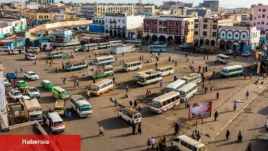 Yargıç, Djibouti'de düzenlenen göçmenler durumunda hükümetin eylemsizliğini eleştiriyor