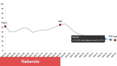 Yurt İçi Üretici Fiyat Endeksi, Nisan 2025