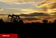 ABD ham petrol üretiminin önümüzdeki yıl azalacağı iddia ediliyor