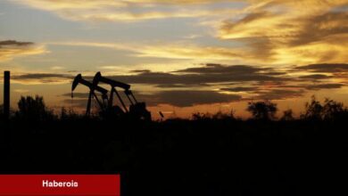 ABD ham petrol üretiminin önümüzdeki yıl azalacağı iddia ediliyor