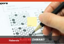 ALES 2 ve ALES 3 sınavı ne vakit? 2025