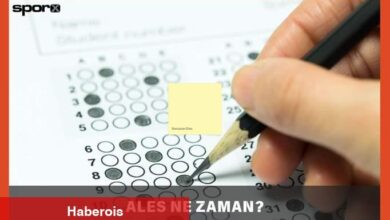ALES 2 ve ALES 3 sınavı ne vakit? 2025