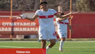 Ali Habeşoğlu, Bodrum FK'da