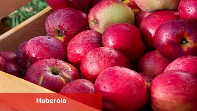 Araştırma sonuçları şaşırttı: Günde bir elma yiyen doktora gitmez mi?