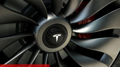 ARK Venture Fonu, Elon Musk’ın Neuralink Şirketinin E Serisi Yatırım Çeşidine Katıldı