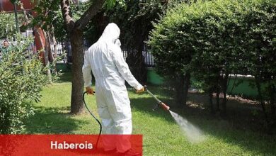 Bağcılar'da parklar ve yeşil alanlar ilaçlanıyor