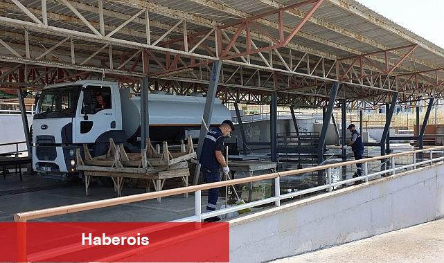 Bayraklı Kurban Bayramı'na hazır - Haberois Bayraklı Kurban Bayramı'na hazır