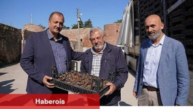 Bayram Öncesi İznik'te Mezarlıklar Çiçek Açıyor