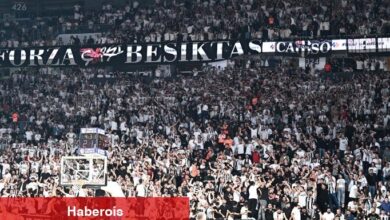 Beşiktaş Fibabanka'ya TBF Disiplin Şurası'ndan ceza geldi!