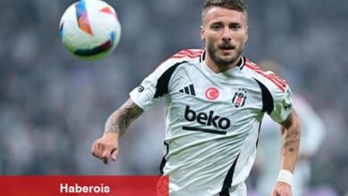 Bologna Immobile ile temas kurdu!