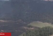Bolu ve Bilecik’te yangınlar denetim altında! Sakarya ve Manisa'dan sevindirici haberler bekleniyor