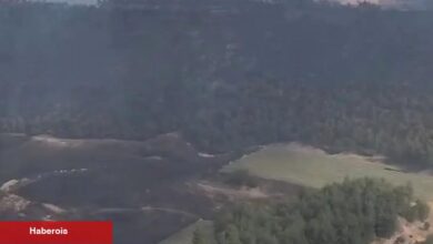 Bolu ve Bilecik’te yangınlar denetim altında! Sakarya ve Manisa'dan sevindirici haberler bekleniyor