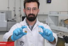 BTÜ’den besin sanayisine çevreci ihtilal... Fındık küspesiyle bitkisel protein atağı