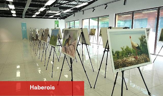 Bu fotoğraf standı Ormanya'da görsel şölen sunuyor