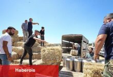 Buca Belediyesi'nden hayvancılık yapan köylülere saman balyası takviyesi