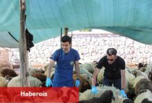 Buca'da Kurban Bayramı öncesi sıkı denetim