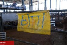 Bursa İnegöl'de 5'inci bayramda çağdaş ve hijyenik satış