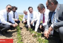 Bursa Yenişehir tarımı Afrika’ya açılıyor