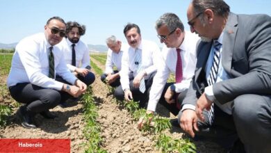 Bursa Yenişehir tarımı Afrika’ya açılıyor